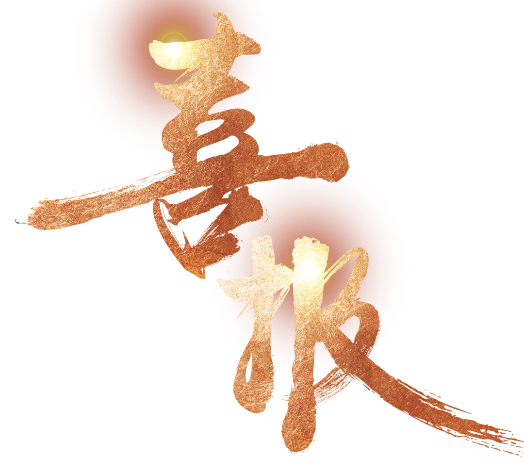 【中標(biāo)喜訊】鑫飛鵬喜中標(biāo) 全力以赴創(chuàng)新高！