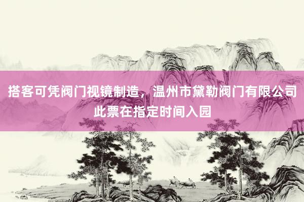 搭客可凭阀门视镜制造,温州市黛勒阀门有限公司此票在指定时间入园